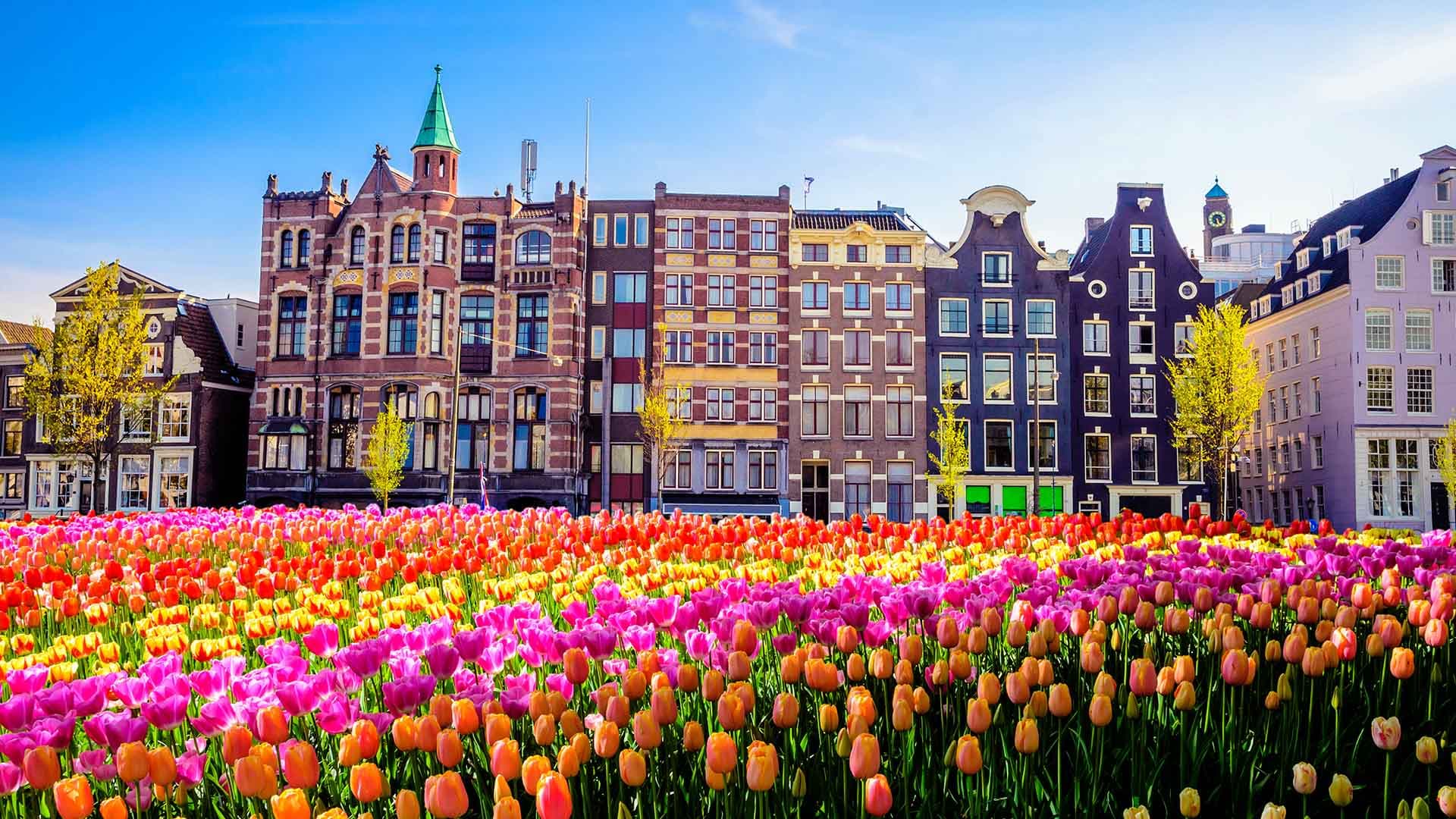 High-Class Escort Amsterdam – Luxury and Elegance in the City of Canals